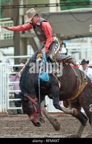 Saddle bronc Rennen in Calgary Stampede, Calgary, Alberta, Kanada Stockfoto