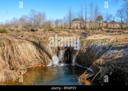 Eine kleine vereisten Wasserfall in einen Stream in der grasartigen Bottomlands an der historischen Mühle Yates County Park in Raleigh, North Carolina. Stockfoto