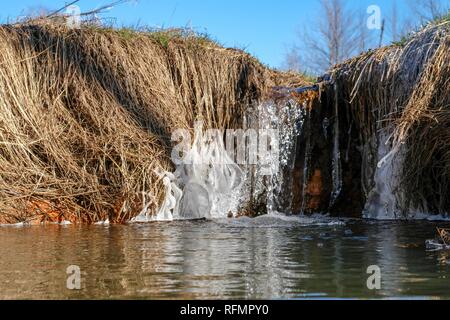 Nahaufnahme eines kleinen vereisten Wasserfall in einen Stream in der grasartigen Bottomlands an der historischen Mühle Yates County Park in Raleigh, North Carolina. Stockfoto