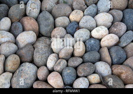 River Rocks wie diese können für die Landschaftsgestaltung in trockenen Klima verwendet werden; sie stellen auch eine schöne Grenze zwischen einem Bürgersteig und Straße der Stadt. Stockfoto