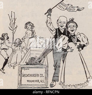 . Green's Kindergarten Co.: Frühjahr 1897. Baumschulen New York (State) Rochester Kataloge; Obstbäume Sämlinge Kataloge. Mrs Brown: "Hier haben wir den Garten machen, und die Bäume und Pflanzen, die Sie bestellt haben, noch nicht angekommen. Sie sind nicht schuld? Ja, sie sind es auch. Warum bist du nicht um sie früher? Sie sind nie auf Zeit. Wenn ich jemals wieder heiraten ich einen Mann, der weiß, pünktlich zu sein, ob er weiß nichts Anderes oder nicht. 1' erhalten. Freude in der Familie. Die Box aus der Grünen Nur-sery Co. ist da, die Bäume und Pflanzen für die Browns. Mrs Brown: - 11 Habe ich nicht gesagt, dass die Green N Stockfoto