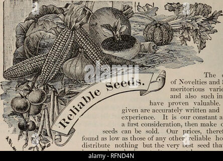 . Philips Käufer Leitfaden für 1897: Garten, Hof und Blumensamen. Baumschulen Pennsylvania Hancock Kataloge; Gemüse Samen Kataloge; Gräser, Blumen Samen Samen Kataloge Kataloge. Wahl Gemüse j&amp; efe Unser Ziel ist es, die besten Sorten von Saatgut bekannt zu bieten; gut getestet und Su-perior Sorten, die für die Käufer zufrieden stellend sein, und so ein zu stehen - ing Werbung für uns. Unser Erfolg damit von unseren vielen Freunden in der ganzen Union bescheinigt wird. Die Qualität und Dauerhaftigkeit der Neuheiten und Spezialitäten. Alle führenden und verdienstvollen Sorten sind hierin beschrieben, und Stockfoto