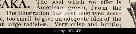 . Die Burpee Folgendes Preise für 1897: Die besten Samen, die wachsen. Baumschulen Pennsylvania Philadelphia Kataloge; Blumen; Gemüse Kataloge Kataloge; süß; Samen Erbsen Kataloge Kataloge. Die BURPEE FOLGENDES NEUHEITEN FÜR 897. 9. Bitte beachten Sie, dass diese Bilder sind von der gescannten Seite Bilder, die digital für die Lesbarkeit verbessert haben mögen - Färbung und Aussehen dieser Abbildungen können nicht perfekt dem Original ähneln. extrahiert. W. Atlee Burpee Folgendes unternehmen; Henry G. Gilbert Baumschule und Saatgut Handel Katalog Kollektion. Philadelphia, Pa: W. Atlee Burpee Folgendes Co. Stockfoto