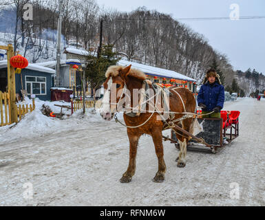 Harbin, China - Feb 23, 2018. Winter Schlittenfahrten mit Pferden bei Snow Village in Harbin, China gezogen. Stockfoto
