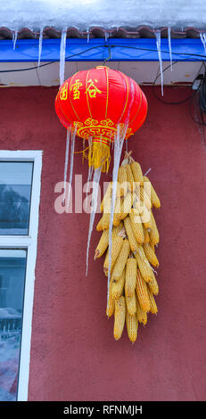 Harbin, China - Feb 23, 2018. Reife getrocknete Maiskolben mit einer roten Laterne hängend an der Wand bei Snow Village in Harbin, China. Stockfoto
