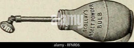 . Herbst jährlichen Katalog der Knollen, Wurzeln und Samen für den Herbst einpflanzen. Gemüse Samen Samen Kataloge Kataloge; Blumen; Gartengeräte und Zubehör Kataloge; Gräser, Samen Kataloge; kommerzielle Kataloge New York (State) New York; Gemüse; Blumen; Gartenbau; Gräser; kommerzielle Kataloge. Kupplungen, oOc.; Düsen, 75 c. Pulver Händler.-Gummi. Für die Anwendung der Nieswurz, Schwefel und anderen Pulvern der Pflanzen in Gewächshäusern. 1,25 $. Die Beschneidung und die angehende Messer. Messer. Beschneidung (Savnor&amp; Cooke), von $ 1,00 auf $ 1,50. Messer. angehende (Saynor&amp; Cooke), von $ 1,00 auf 1,50 eac Stockfoto