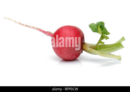 Rote Radieschen und grüne Blätter auf weißem Hintergrund Stockfoto