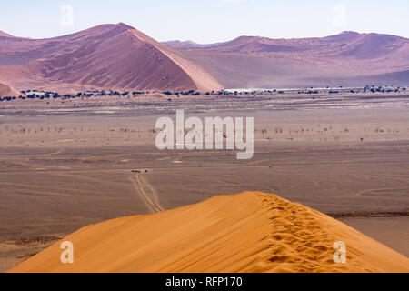 Blick vom Gipfel der Düne 45 zu Beginn der Wanderweg, Sossusvlei, Namibia im Sommer Stockfoto