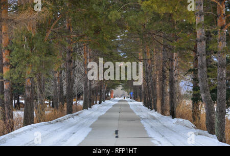 Harbin, China - Feb 23, 2018. Winterlandschaft mit schneebedeckten Straße im Winter Forest. Stockfoto