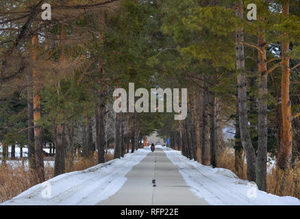 Harbin, China - Feb 23, 2018. Winterlandschaft mit schneebedeckten Straße im Winter Forest. Stockfoto