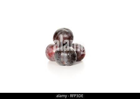 Ein paar frische Pflaumen, auf weißem Hintergrund Stockfoto