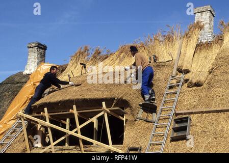 Fliesenleger arbeiten auf ein Rohr dach haus, Insel Langeland, Dänemark Stockfoto