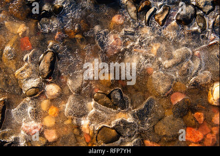 Kiesel in einem gefrorenen Teich, Cradle Mountain, Australien Stockfoto