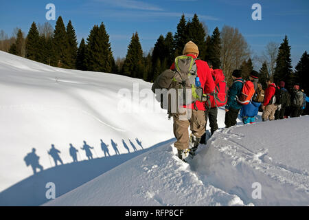 Es ist ein Privileg in der hıdırnebi in Trabzon zu gehen, indem Sie die schönen Landschaften im Schnee. Dieses Plateau ist gut geeignet für Wanderungen. Stockfoto