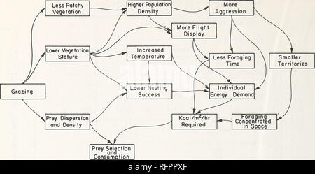 . Verfahren des Symposiums zur Bewirtschaftung von Wald und Lebensräume für Vögel Nongame, Mai 6-9, 1975, Tucson, Arizona. Vögel Erhaltung Kongresse; Vögel Lebensraum Kongresse; Bereich management Kongresse; Wildlife Habitat Verbesserung Kongresse. Abbildung 8. Konzeptionelle Darstellung der Auswirkungen der zunehmenden Intensität der Beweidung auf Gehörnten Lerchen im Grasland. Die Quantifizierung der Verzehr von Lebensmitteln Preise in natürlichen Situationen ist ein schwieriges Unterfangen, und wieder haben wir auf die Ergebnisse der Simulation Modell gebaut haben Analysen Annäherungen an den Verzehr von Lebensmitteln. Der IBP-Grassl Stockfoto