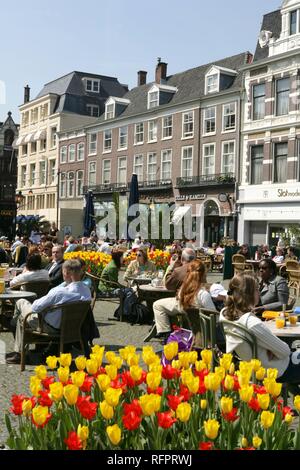 Die alten Häuser und die Cafes auf dem 'Buitenhof' square Erschliessung im alten Teil der Stadt, Den Haag, Niederlande Stockfoto