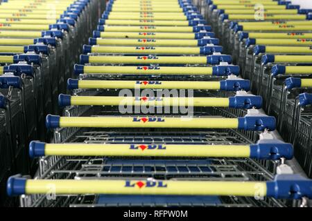 DEU, Deutschland, Dortmund: Einkaufswagen in einem Supermarkt der deutschen Discounter Lidl Gruppe. Stockfoto