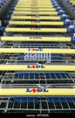 DEU, Deutschland, Dortmund: Einkaufswagen in einem Supermarkt der deutschen Discounter Lidl Gruppe. Stockfoto