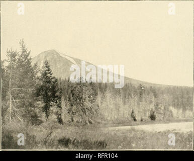 . Der Cascade Range und Ashland Waldreservate und angrenzenden Regionen. A. MOUNT PITT, AUS//ESI: LI '^Arj t:: A. , Oberen Klamath See. Ji MOUNT PITT, WIE AUS GESEHEN FISH LAKE. Bitte beachten Sie, dass diese Bilder sind von der gescannten Seite Bilder, die digital für die Lesbarkeit verbessert haben mögen - Färbung und Aussehen dieser Abbildungen können nicht perfekt dem Original ähneln. extrahiert. Leiberg, John B., 1853 -. Washington: Gov't Drucken. Aus. Stockfoto