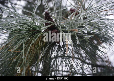 Gefrierender Regen in Bukarest, Eisregen Stockfoto