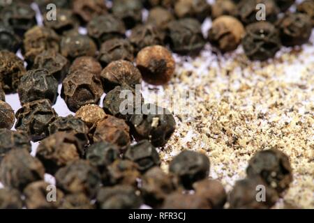 Schwarzer Pfeffer, Hühneraugen und gemahlener Pfeffer Stockfoto