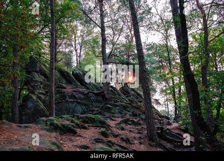 Die Doerenther Klippen im Teutoburger Wald bei Desert storm Ophelia Stockfoto