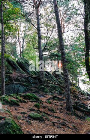 Die Doerenther Klippen im Teutoburger Wald bei Desert storm Ophelia Stockfoto