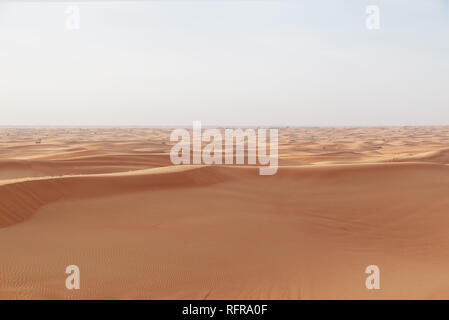 Kamele im Herzen der Wüste Wadi Rum, Jordanien Stockfoto