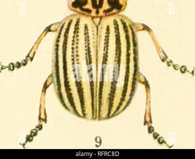 . Der Carnegie Institution in Washington Publikation. X" 7. Bitte beachten Sie, dass diese Bilder sind von der gescannten Seite Bilder, die digital für die Lesbarkeit verbessert haben mögen - Färbung und Aussehen dieser Abbildungen können nicht perfekt dem Original ähneln. extrahiert. Der Carnegie Institution in Washington. Washington, der Carnegie Institution in Washington Stockfoto