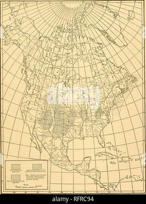 . Der Carnegie Institution in Washington Publikation. AREAL GEOGRAPHIE VON NORDAMERIKA IN DEN SPÄTEN PALÄOZOIKUM 261. Bitte beachten Sie, dass diese Bilder sind von der gescannten Seite Bilder, die digital für die Lesbarkeit verbessert haben mögen - Färbung und Aussehen dieser Abbildungen können nicht perfekt dem Original ähneln. extrahiert. Der Carnegie Institution in Washington. Washington, der Carnegie Institution in Washington Stockfoto