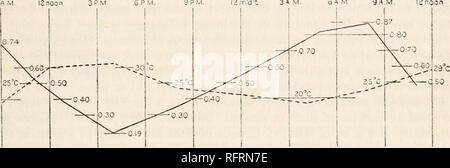 . Der Carnegie Institution in Washington Publikation. Säure BESTIMMUNGEN. 35 Rückgang war gepflegt bis zu 60 Stunden ein, nach denen eine leichte Zunahme war, beachtet zu werden. Diese zuletzt genannten Umstand kann sehr gut aufgrund der Tatsache, dass nach 1 Tagen die Wunde Borke ausreichend gebildet hatte, die Schnittflächen zu schützen. Die nachfolgenden Experimente mit wunde Atmung tragen diese Wahrscheinlichkeit. Die Säure eine Parallele Muster, die nicht verwundet worden war, zeigt die normalen leichten Rückgang in der Säure, die in Folge der lang anhaltende Dunkelheit kommt. Es kann davon ausgegangen werden, dass diese Minderung von Ac Stockfoto
