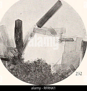 . Der Carnegie Institution in Washington Publikation. . J. 233 232. Bitte beachten Sie, dass diese Bilder sind von der gescannten Seite Bilder, die digital für die Lesbarkeit verbessert haben mögen - Färbung und Aussehen dieser Abbildungen können nicht perfekt dem Original ähneln. extrahiert. Der Carnegie Institution in Washington. Washington, der Carnegie Institution in Washington Stockfoto