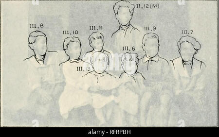 . Der Carnegie Institution in Washington Publikation. . Bitte beachten Sie, dass diese Bilder sind von der gescannten Seite Bilder, die digital für die Lesbarkeit verbessert haben mögen - Färbung und Aussehen dieser Abbildungen können nicht perfekt dem Original ähneln. extrahiert. Der Carnegie Institution in Washington. Washington, der Carnegie Institution in Washington Stockfoto