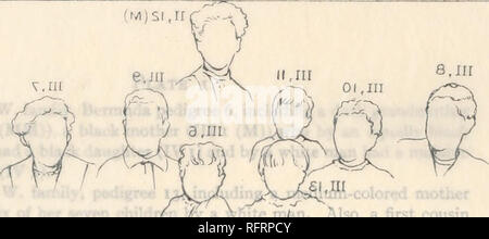 . Der Carnegie Institution in Washington Publikation. . (Auch "6 Tannen.-ll, ir/"w.n Oi, ir M SI ,11: £ 1,11. Bitte beachten Sie, dass diese Bilder sind von der gescannten Seite Bilder, die digital für die Lesbarkeit verbessert haben mögen - Färbung und Aussehen dieser Abbildungen können nicht perfekt dem Original ähneln. extrahiert. Der Carnegie Institution in Washington. Washington, der Carnegie Institution in Washington Stockfoto