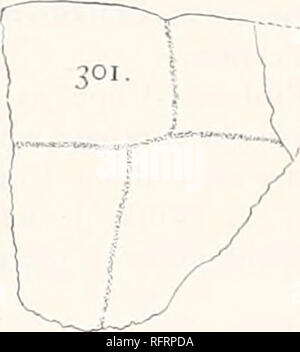 . Der Carnegie Institution in Washington Publikation. . FlGS. 299-301.- Aiocus beatus. Peripheriegeräte. Xi. Nach Wieland. 299. Fitst linken peripheren Typ. 500. Erste lift peripheren von tv' pe, minderwertige Oberfläche, mit Abschnitt in der Nähe der Naht mit dem zweiten Peripheriegerät. Zeigt die Grube für den Prozess der Nuchal. Der Abschnitt nach rechts. 301. Erste links Periphere von 'sCope Medford Muster. Nr. 1138 A. M.N.H. Länge größer gewesen sein, als dass es gegeben, da gibt es ein Intervall, die im hyoplastron, und da weniger Platz hat zwischen dem hyohypoplastral naht und der Inguinalen nicht erlaubt. Stockfoto