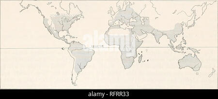 . Der Carnegie Institution in Washington Publikation. Geografische Verteilung. 31 Ein Blick auf Abb. 9 auf einmal der große Einfluß von Hitze und Kälte und den Mangel an Feuchtigkeit. In Westeuropa ist durch das Meer erwärmt, die Schildkröten werden von einer Art, die reicht fast so weit nördlich wie St. Petersburg vertreten; während in Zentralasien keine bekannt ist nördlich von Turkestan und den Himalaya. Der südliche Teil von Arabien und der größere Teil der Sahara sind ohne Schildkröten, aufgrund der Trockenheit des Klimas. In Nordamerika der Hoch- und kalten Bereich des Rocky Moun Stockfoto