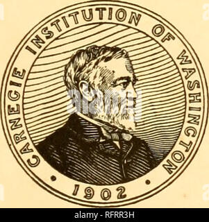 . Der Carnegie Institution in Washington Publikation. Eine REVISION DER COTYLOSAURIA VON NORDAMERIKA DURCH E.C. FALL Junior Professor für Historische Geologie und Paläontologie, Universität von Michigan. WASHINGTON, DC von der Carnegie Institution in Washington 1911 veröffentlicht. Bitte beachten Sie, dass diese Bilder sind von der gescannten Seite Bilder, die digital für die Lesbarkeit verbessert haben mögen - Färbung und Aussehen dieser Abbildungen können nicht perfekt dem Original ähneln. extrahiert. Der Carnegie Institution in Washington. Washington, der Carnegie Institution in Washington Stockfoto