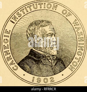 . Der Carnegie Institution in Washington Publikation. Der polynesische Wanderungen Spuren der Migration, die sich aus der Prüfung der Proto-Samoan Inhalt von Efate und andere Sprachen melanesiens von WILLIAM CHURCHILL irgendwann Generalkonsul der Vereinigten Staaten in Samoa und Tonga, Mitglied der Polynesischen Gesellschaft, die Hawaiianische historische Gesellschaft, die amerikanische Philologenverband. Veröffentlicht von der Carnegie Institution in Washington 1911. Bitte beachten Sie, dass diese Bilder aus gescannten Seite Bilder, die digital für die Lesbarkeit verbessert haben mögen - Färbung und Aussehen o extrahiert werden Stockfoto