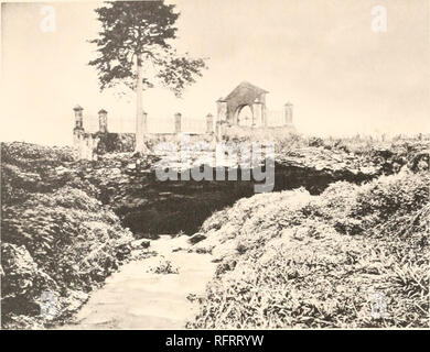 . Der Carnegie Institution in Washington Publikation. EIGENMANN FRONTISPIZ. Eingang des Ariguanabo Fluss, Kuba, auf seine unterirdischen Kanal in San Antonio de Los Banos. Bitte beachten Sie, dass diese Bilder sind von der gescannten Seite Bilder, die digital für die Lesbarkeit verbessert haben mögen - Färbung und Aussehen dieser Abbildungen können nicht perfekt dem Original ähneln. extrahiert. Der Carnegie Institution in Washington. Washington, der Carnegie Institution in Washington Stockfoto