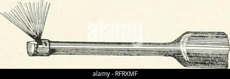 . Die Pflege der Bäume im Rasen, Street und Park. Mit einer Liste von Bäumen und Sträuchern für dekorative verwenden. Bäume, Bäume. Beißende Insekten m y. Abb. 49. - Die "stott". Sprühkopf leaf Beetle und Gipsy - Nachtfalter, die Kleinere für Braun-tailed Moth, tussock - Motte und Fallen web-Wurm. Paris grüne Mischung: Ein Pfund Paris Grün, achtzehn bis zwanzig Cent, in eine Paste mit warmem Wasser und rührte in hundert bis dreihundert Liter Wasser oder Bordeaux Mix- tur, ist eine sichere Mischung, desto stärker sind die Lösung für die ELM-Käfer. Falls Wasser verwendet wird, ist der Zusatz von einem Pfund von Kalkmilch wird Re Stockfoto