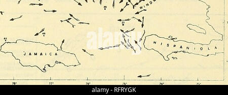 . Karibik aktuelle Umfrage: Frühjahr 1953. Meeresströmungen. % £ =&gt; T S X •" --&gt; 11. fasy. Abb. 8. Sorfoee Ströme USS SAN PABLO GEK Bemerkungen vom 29. Mai bis 9. Juni 1953 USS SAN PABLO (Abb. 8), Ströme Einstellung im Westen und Süden - Westen zeigen, dass Wasser in den Bereich durch Windward Passage, die Eddy aus Punta Maisi klar angegeben ist. Die Bewegung zwischen Hispaniola. und Jamaika ist die Umkehrung der Tfc. t gefunden, die durch das R 7 ATLANTIS. Sub-sequent Drift ist nach Westen und nach Nordwesten. Eine conntercurrent fließt nach Osten entlang der südlichen Küste von Cubru eine große Eddy angegeben ist, die von Guan Stockfoto