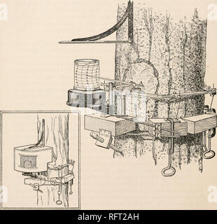 . Der Carnegie Institution in Washington Publikation. 10 WACHSTUM IN DEN BÄUMEN. Die zweite und die bevorzugte Form der Base kann in einer Phrase wie ein Gürtel von hölzernen Blöcke zusammen klappbaren beschrieben werden. Erfahrene und geölt Blöcke von Redwood (Sequoia sempervirens), 15 durch 7 von 7 cm, waren zusammen in einem Gürtel von Paaren aus verzinktem Streifen aus Eisen gebunden. Kleine Schrauben durch die Enden dieser Streifen und durch die Bohrungen in der Nähe. Abb. 1.- Frühere Form des dendrograph, mit dem alle Datensätze, die vor September 1920 hergestellt wurden. Dieses Instrument ist ein Lager aus einer vorbereiteten Bereich auf der Rinde des Baumes durch eine Ende des smal Stockfoto