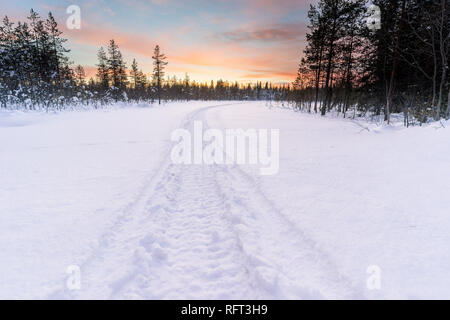 Spur in den tiefen Schnee von einem Schneemobil führt in den Wald, während die Sonne in Lappland ist Finnsih. Bild wurde in Pyha, Finnland. Stockfoto