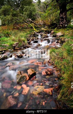 Schnell fliessende Strom über den roten Sandsteinfelsen Stockfoto