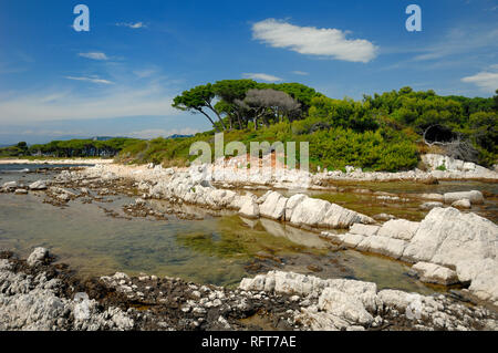 Küste und felsige Küstenlinie Île Sainte-Marguerite, die Lérins Inseln vor der Küste des Mittelmeers von Cannes Cote d'Azur oder in Côte d'Azur Frankreich Stockfoto