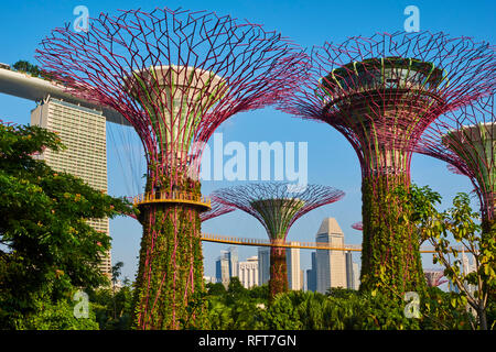 Supertree Grove, Garten durch die Bucht, Botanischer Garten, Marina Bay, Singapur, Südostasien, Asien Stockfoto
