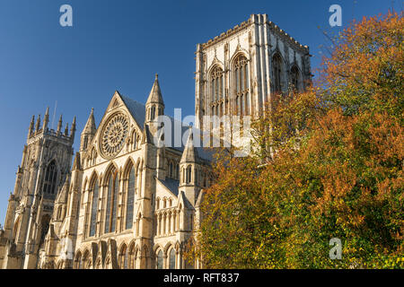 York Minster, York, North Yorkshire, England, Großbritannien, Europa Stockfoto