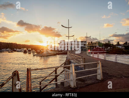 Port in Puerto Ayora bei Sonnenuntergang, Santa Cruz (Indefatigable) Island, Galapagos, UNESCO-Weltkulturerbe, Ecuador, Südamerika Stockfoto
