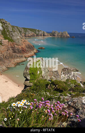 Pednvounder Strand und Treen Klippen bei Porthcurno, Cornwall, England, Vereinigtes Königreich, Europa Stockfoto