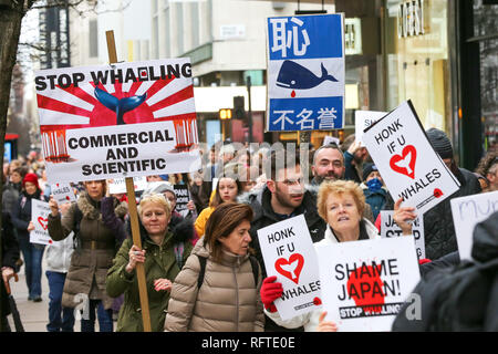 London, Großbritannien. 26. Januar, 2019. Die Demonstranten werden gesehen, Plakate während des Protestes gegen den japanischen Walfang in Central London. Credit: Dinendra Haria/SOPA Images/ZUMA Draht/Alamy leben Nachrichten Stockfoto